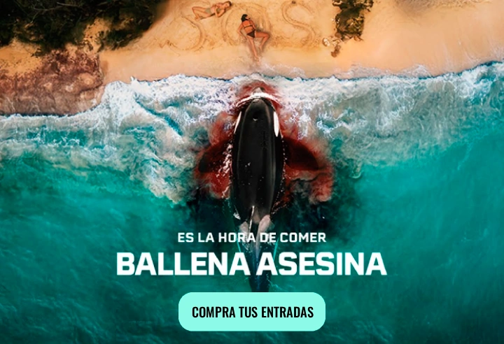 rp-ballena.webp
