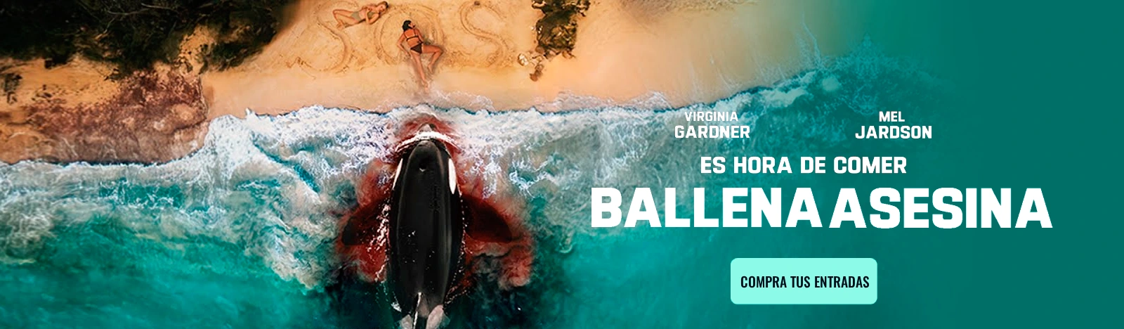 full-ballena.webp
